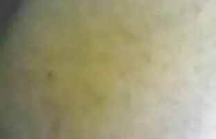 Video ansehen Yanks Valentine leckt Andre Shakti & apos;s scharfe reife damen Arsch auf der kostenlosen Pornoseite, Heimat von kostenlosen Мулаты Porno Videos und HD Порно Sex Filme online.